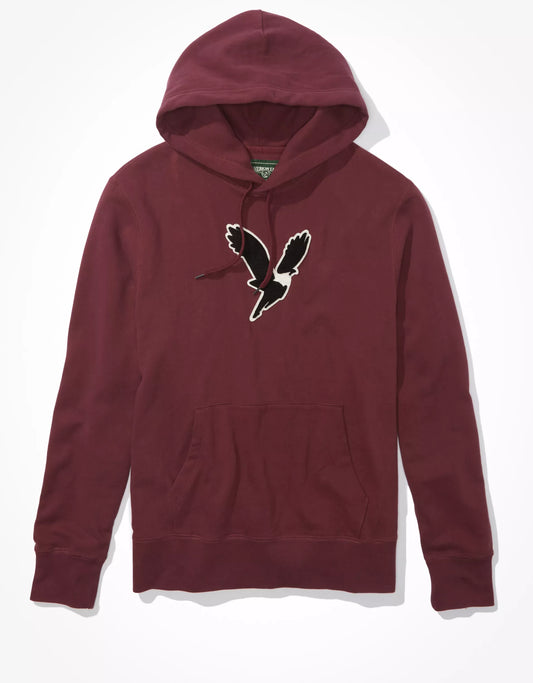 American Eagle Hoodie