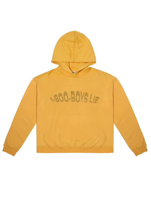 1-800-Boys-Lie Hoodie