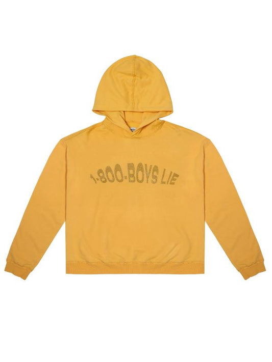 1-800-Boys-Lie Hoodie