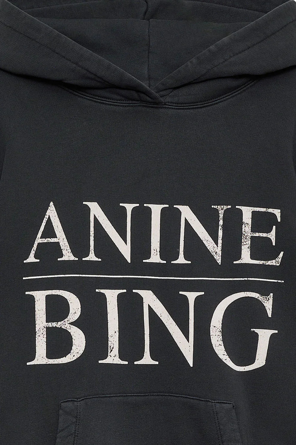 Anine Bing Hoodie