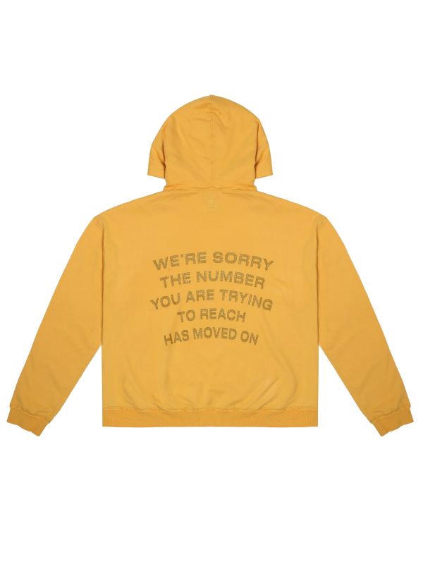 1-800-Boys-Lie Hoodie