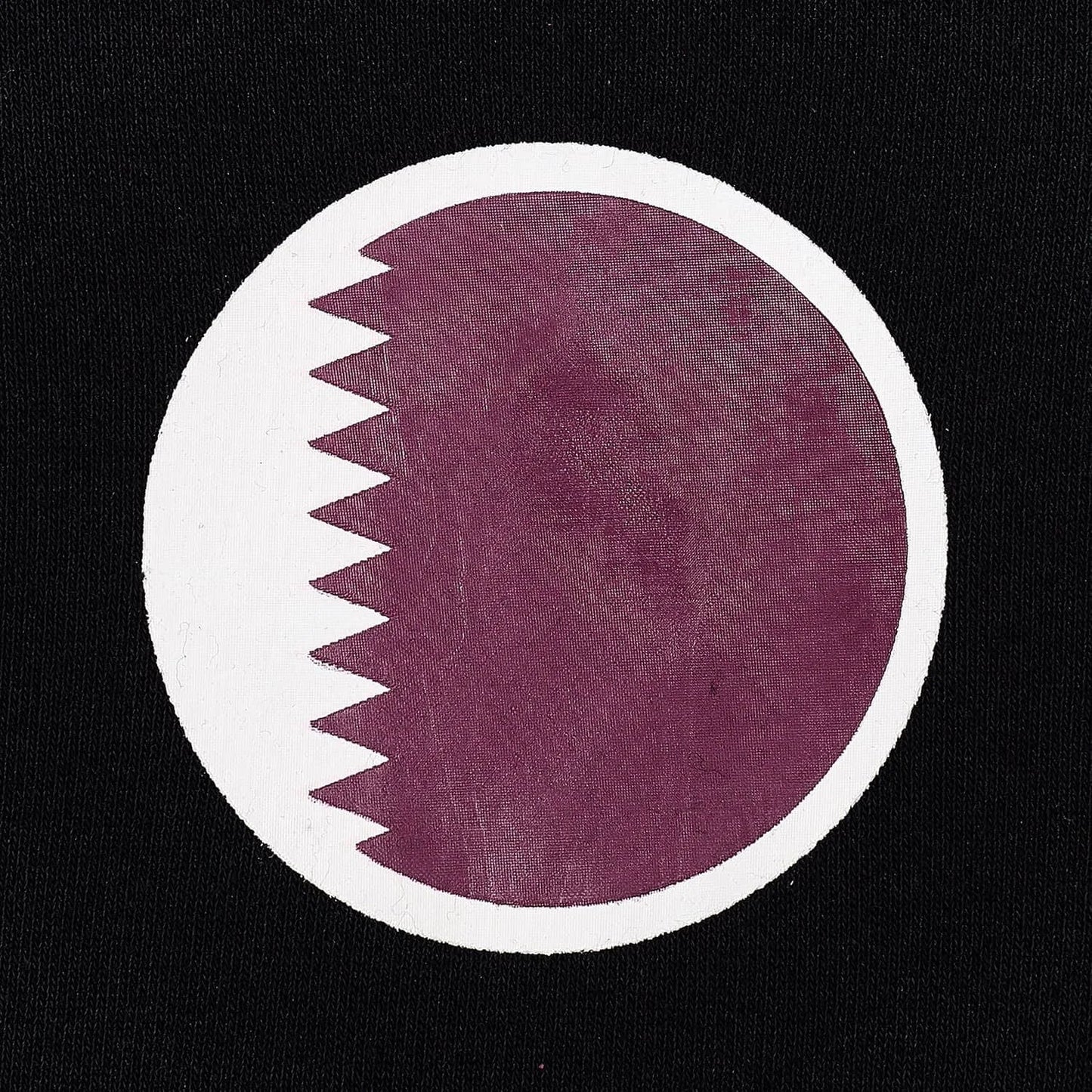 Fifa World Cup Qatar 2022 Hoodie