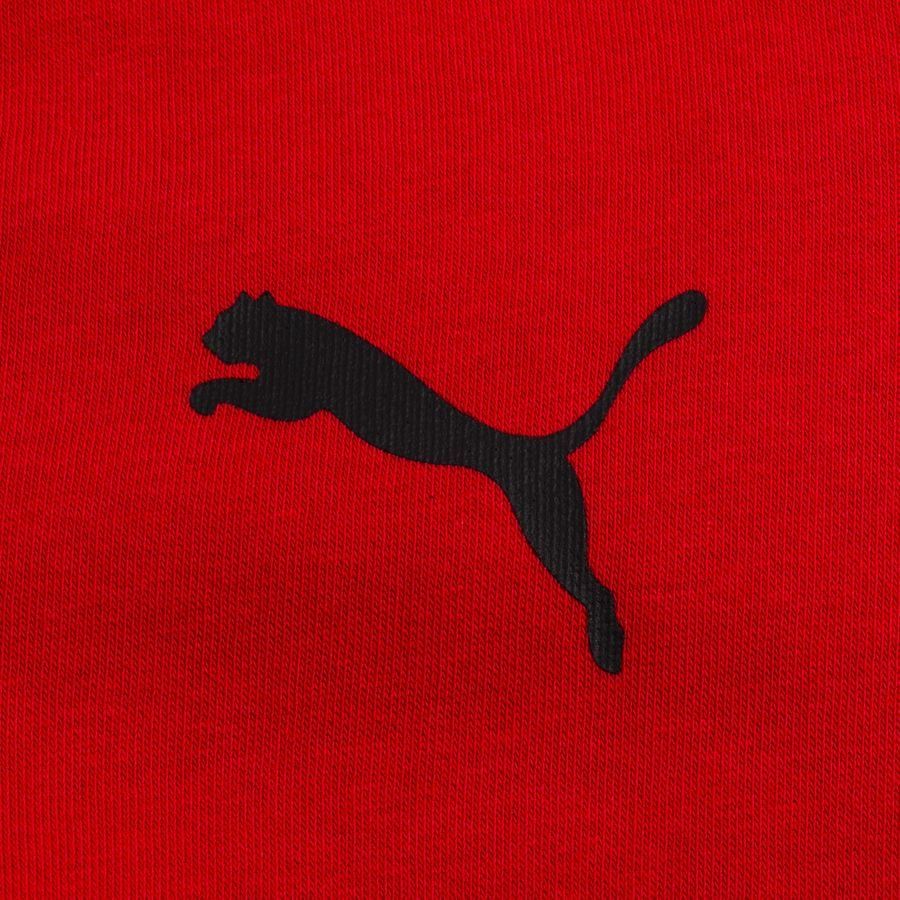 Puma AC Milan Casuals Hoodie